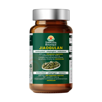 Jiaogulan powdered leaf in vegetable capsules 