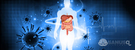 Gut health and immunity