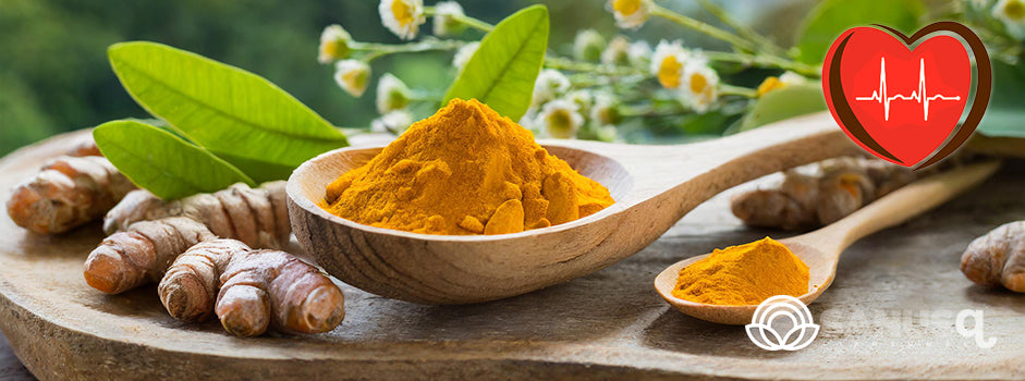 Boost Your Cardiovascular Health with the Power of Turmeric