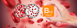 Vitamin B12 deficiency anemia